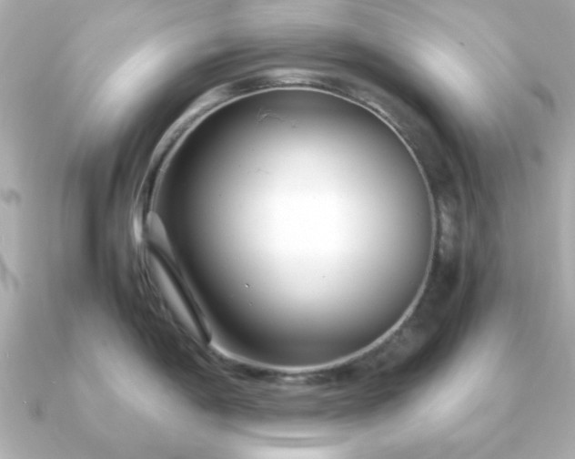 X0000090961198200708091349