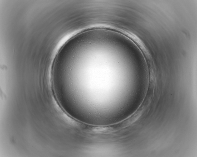 X0000090961199200708091349