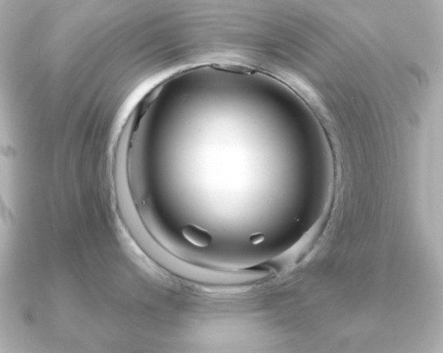 X0000090961200200708091349