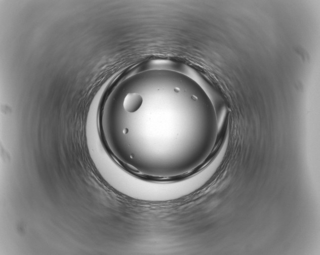 X0000090961202200708091348