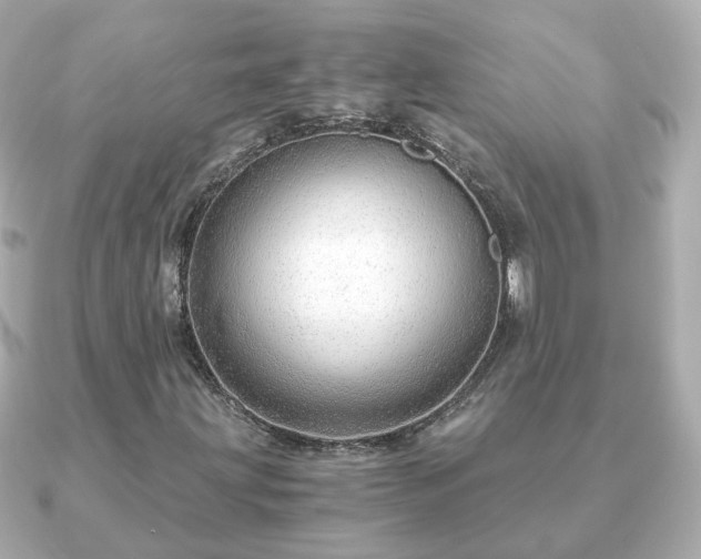 X0000090961203200708091348