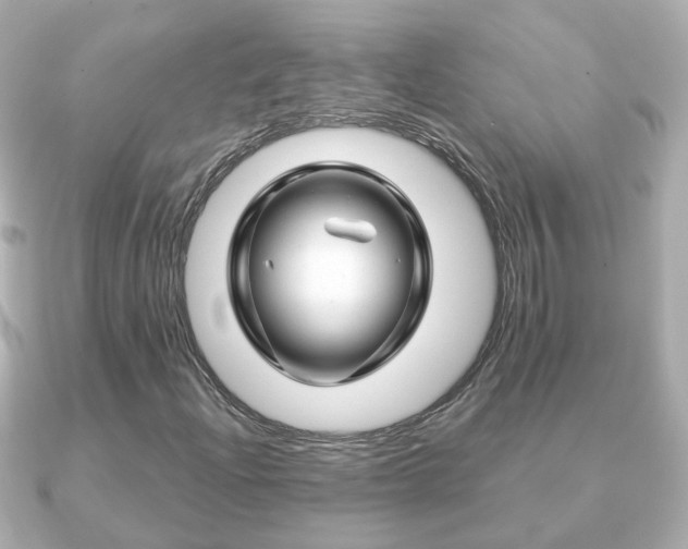 X0000090961204200708091348