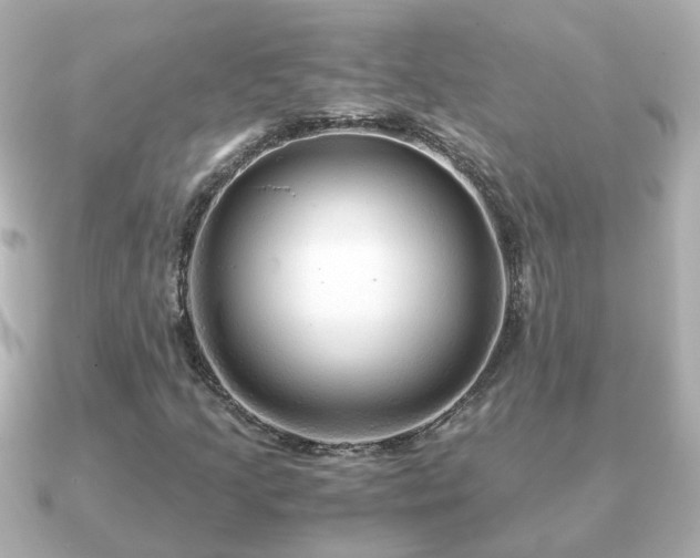 X0000090961205200708091348