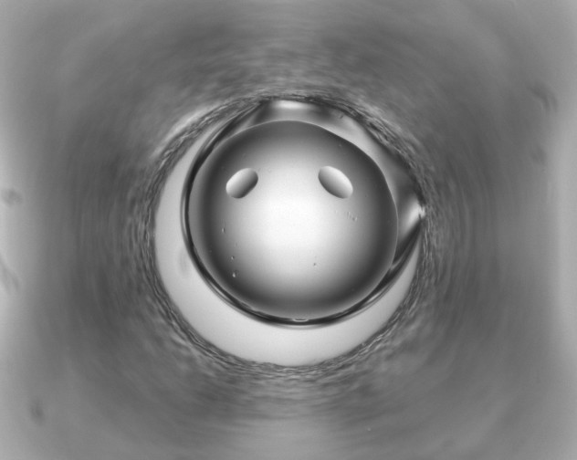 X0000090961206200708091348