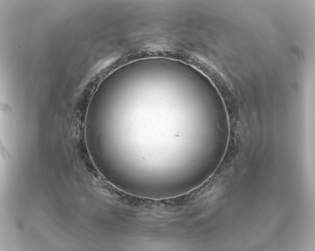 X0000090961207200708091348