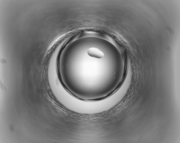 X0000090961208200708091348