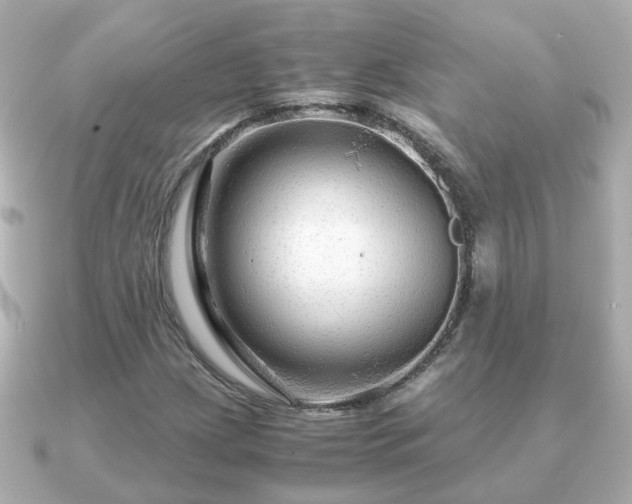 X0000090961209200708091348