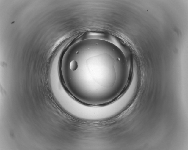 X0000090961210200708091348
