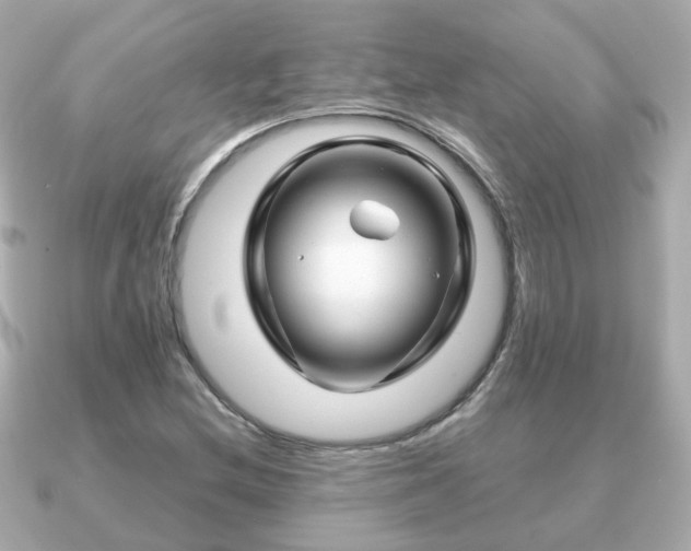 X0000090961212200708091348