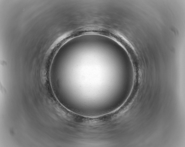 X0000090961213200708091348