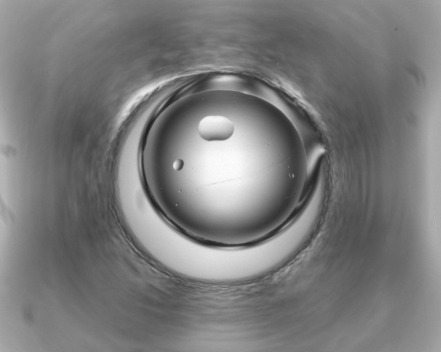 X0000090961214200708091348