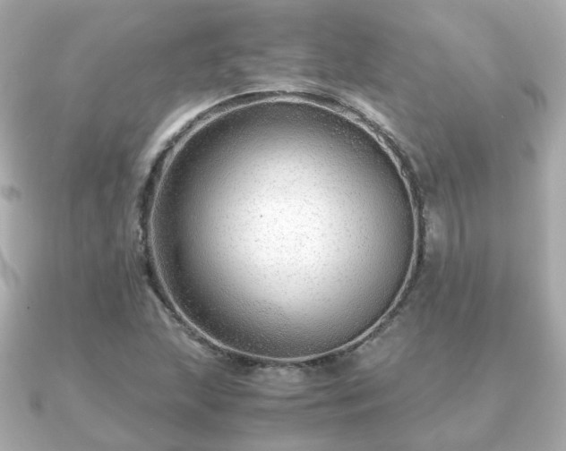 X0000090961215200708091348