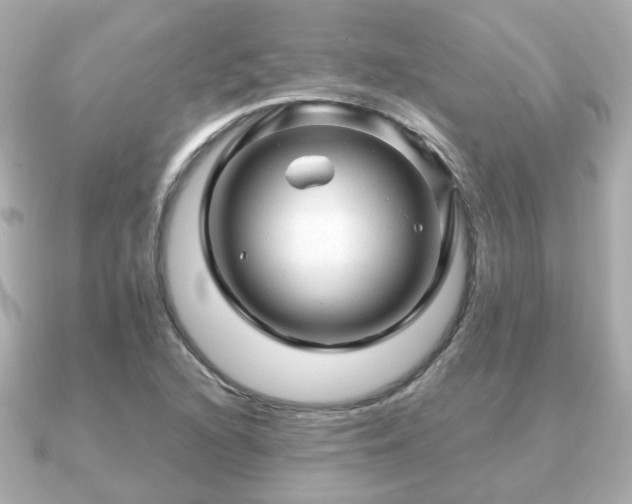 X0000090961216200708091348