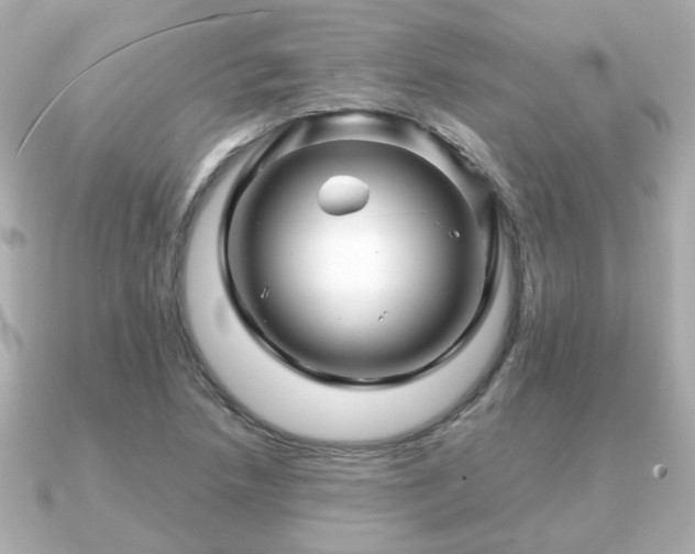 X0000090961218200708091348