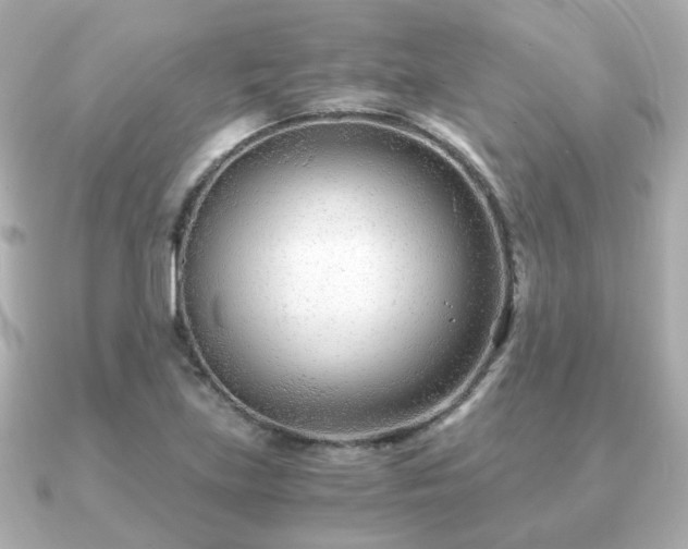 X0000090961219200708091348