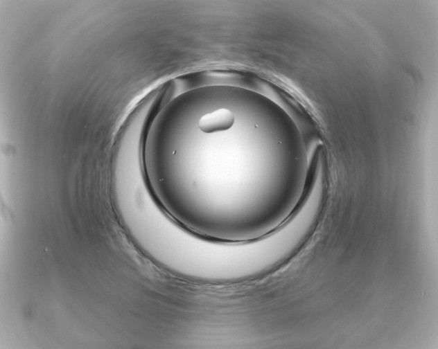 X0000090961220200708091348