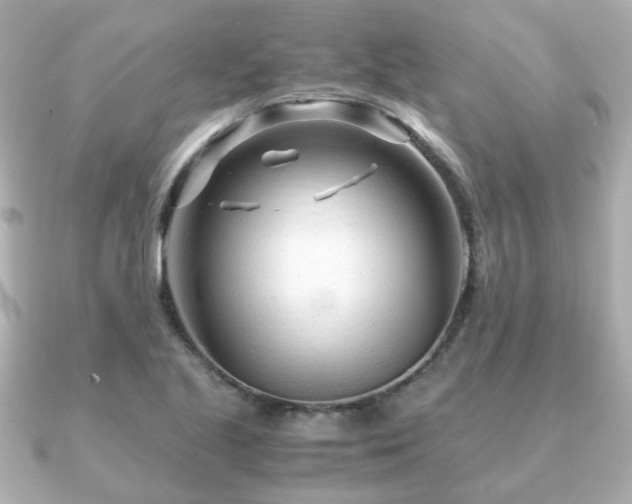 X0000090961221200708091348