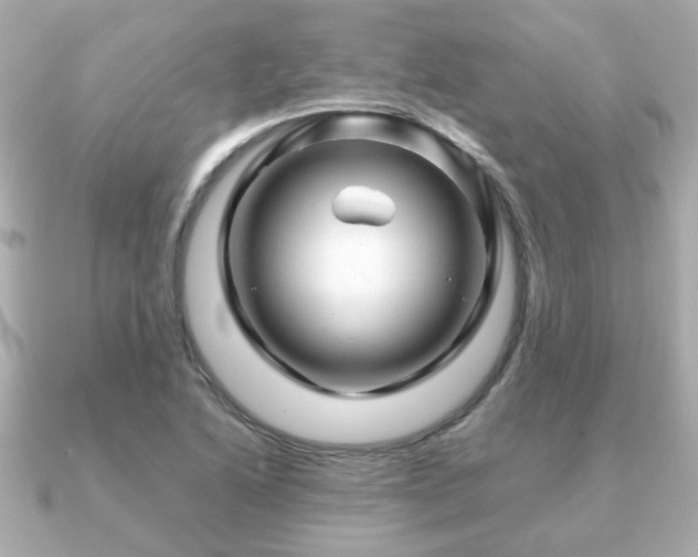 X0000090961222200708091348