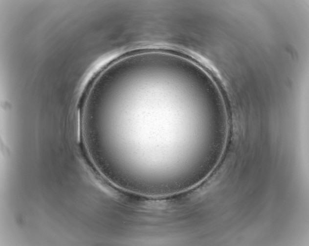 X0000090961223200708091349