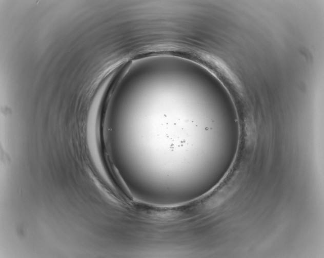 X0000090961225200708091349