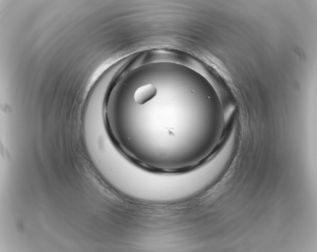 X0000090961226200708091349