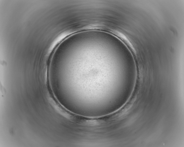 X0000090961227200708091349