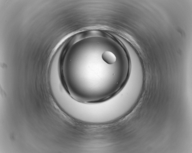 X0000090961228200708091349