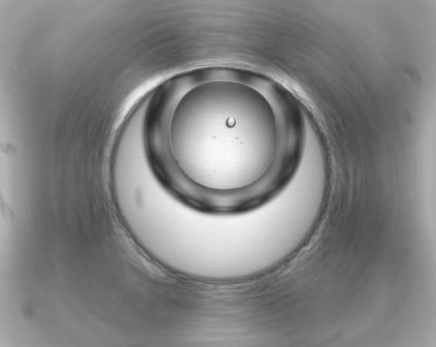 X0000090961230200708091349