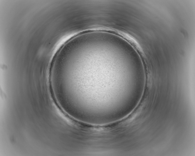X0000090961231200708091349