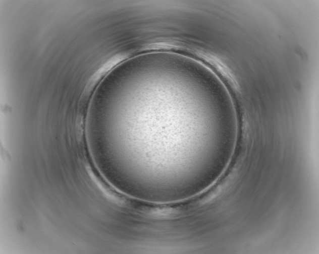 X0000090961233200708091349