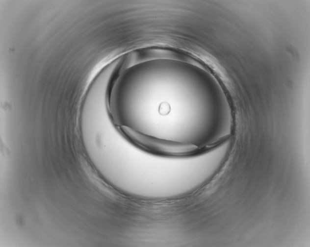 X0000090961234200708091349