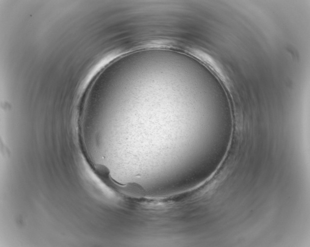 X0000090961235200708091349