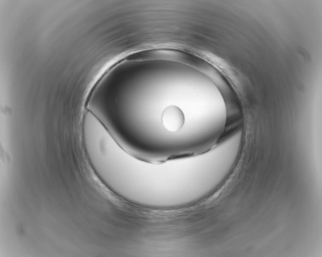 X0000090961236200708091349
