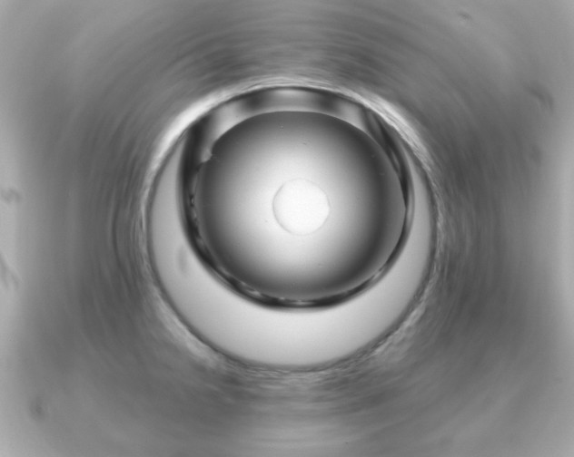 X0000090961238200708091349
