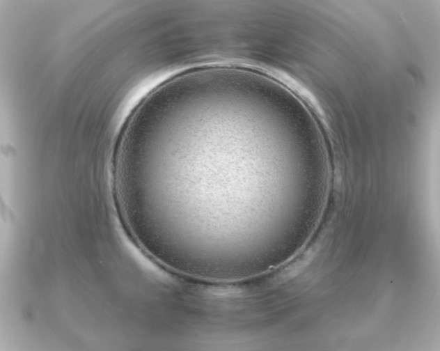 X0000090961239200708091349