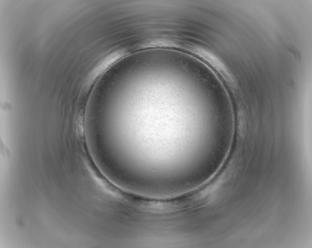 X0000090961241200708091349