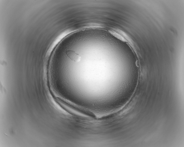 X0000090961243200708091349