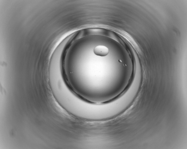 X0000090961244200708091349