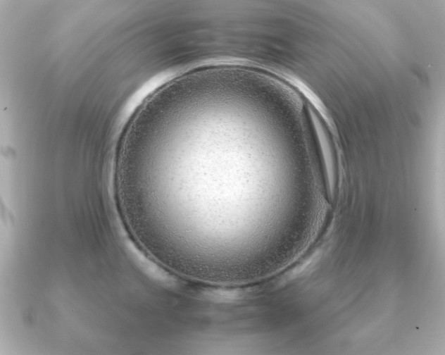 X0000090961245200708091349