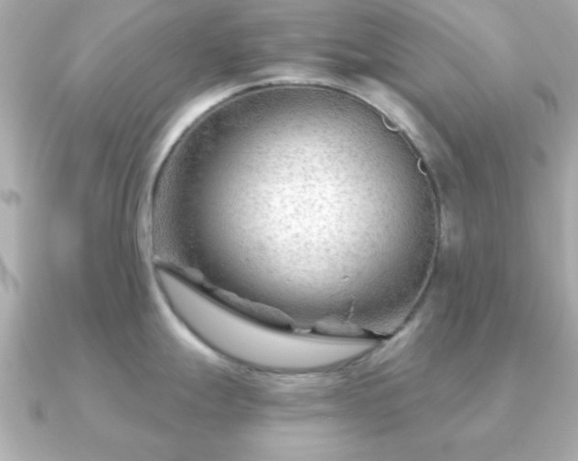 X0000090961247200708091349