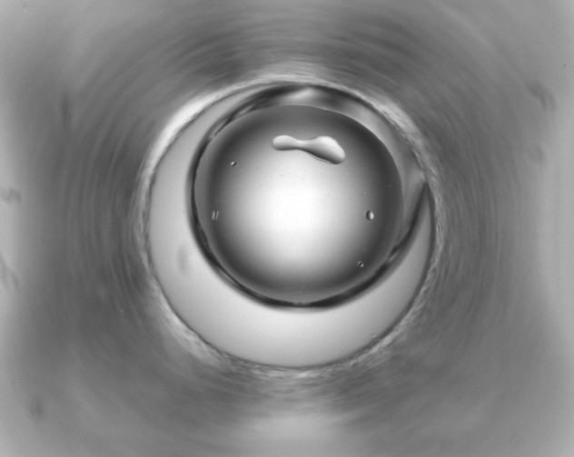 X0000090961248200708091349