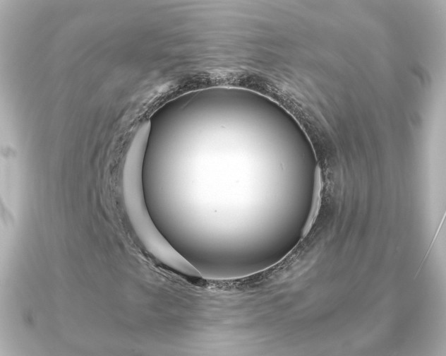 X0000090961249200708091348