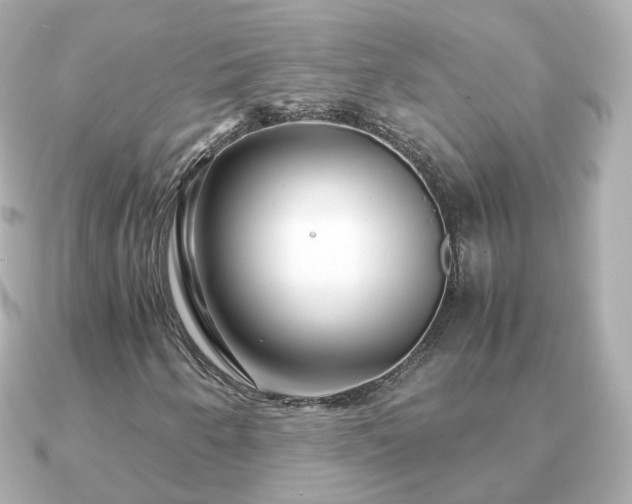 X0000090961250200708091348