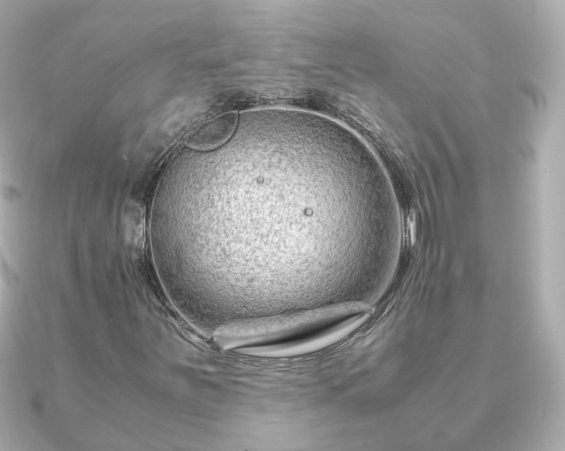 X0000090961251200708091348