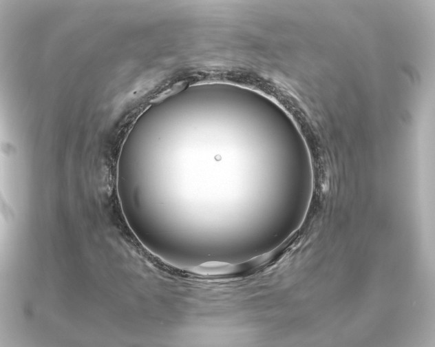 X0000090961253200708091348