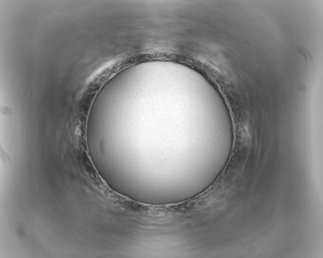 X0000090961254200708091348