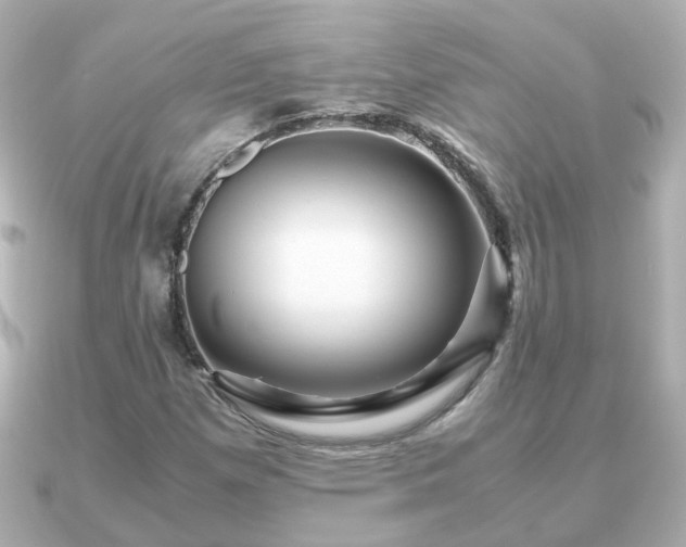 X0000090961257200708091348
