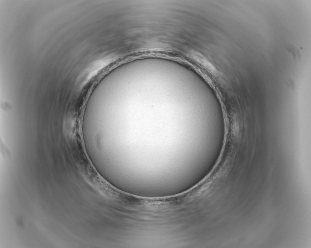 X0000090961258200708091348