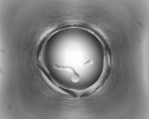 X0000090961261200708091348