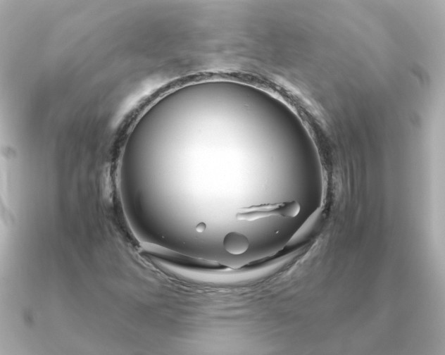 X0000090961262200708091348